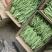 小金豆市场精品商超靓货电商价低可抽真空全国发货