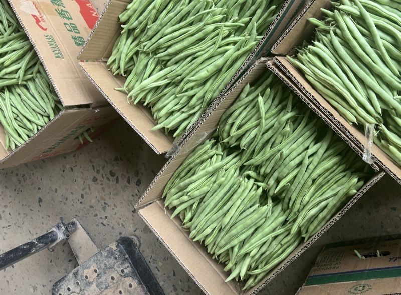 小金豆市场精品商超靓货电商价低可抽真空全国发货