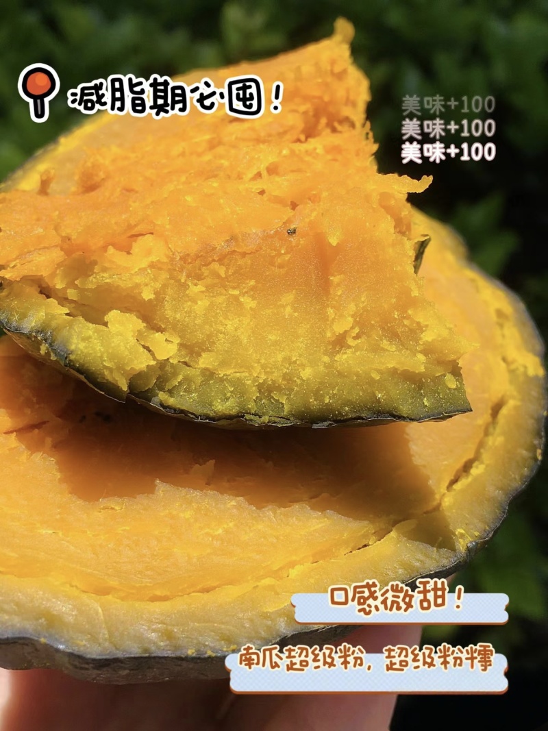 【广西贝贝南瓜】爆粉贝贝南瓜/沙地南瓜/电商团购一件批发