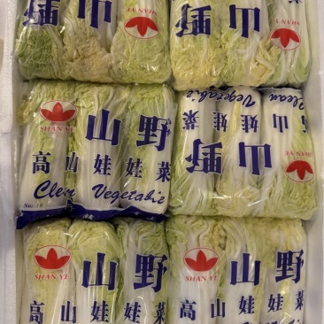 云南娃娃菜源头产地直发保质保量对接全国