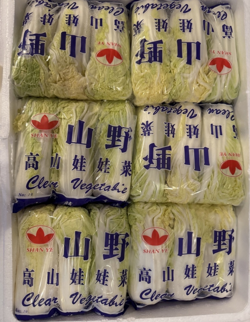 云南娃娃菜源头产地直发保质保量对接全国