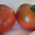 西红柿，产地直供，品质有保障