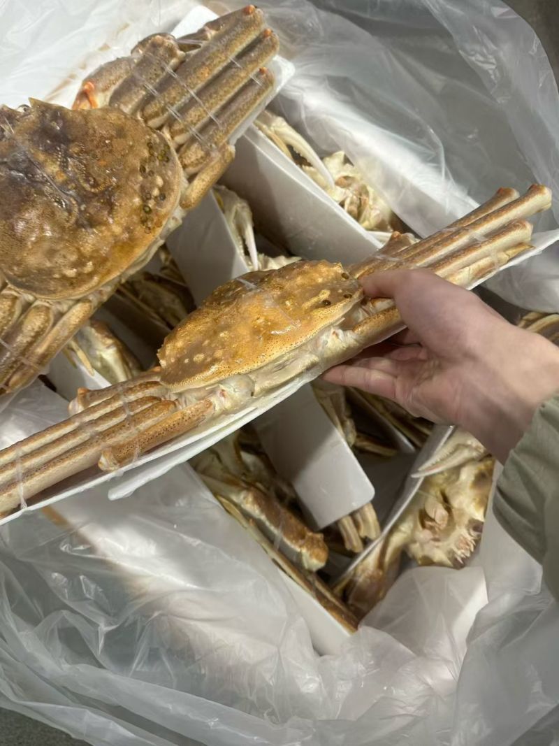 生冻松叶蟹长腿蟹大量现货供应，肉质饱满品质保证欢迎电联