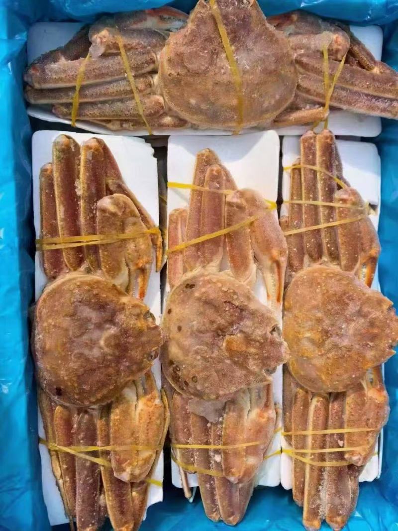 生冻松叶蟹长腿蟹大量现货供应，肉质饱满品质保证欢迎电联