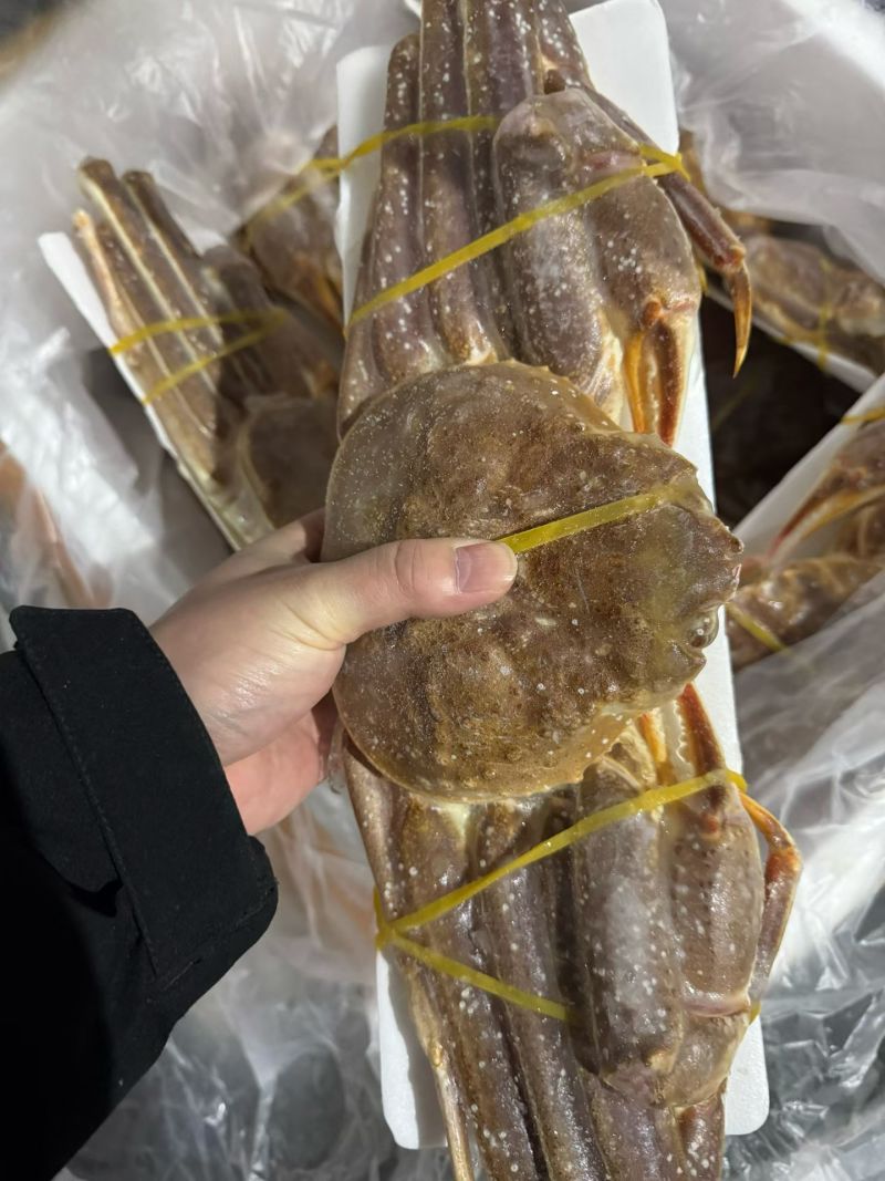 生冻松叶蟹长腿蟹大量现货供应，肉质饱满品质保证欢迎电联