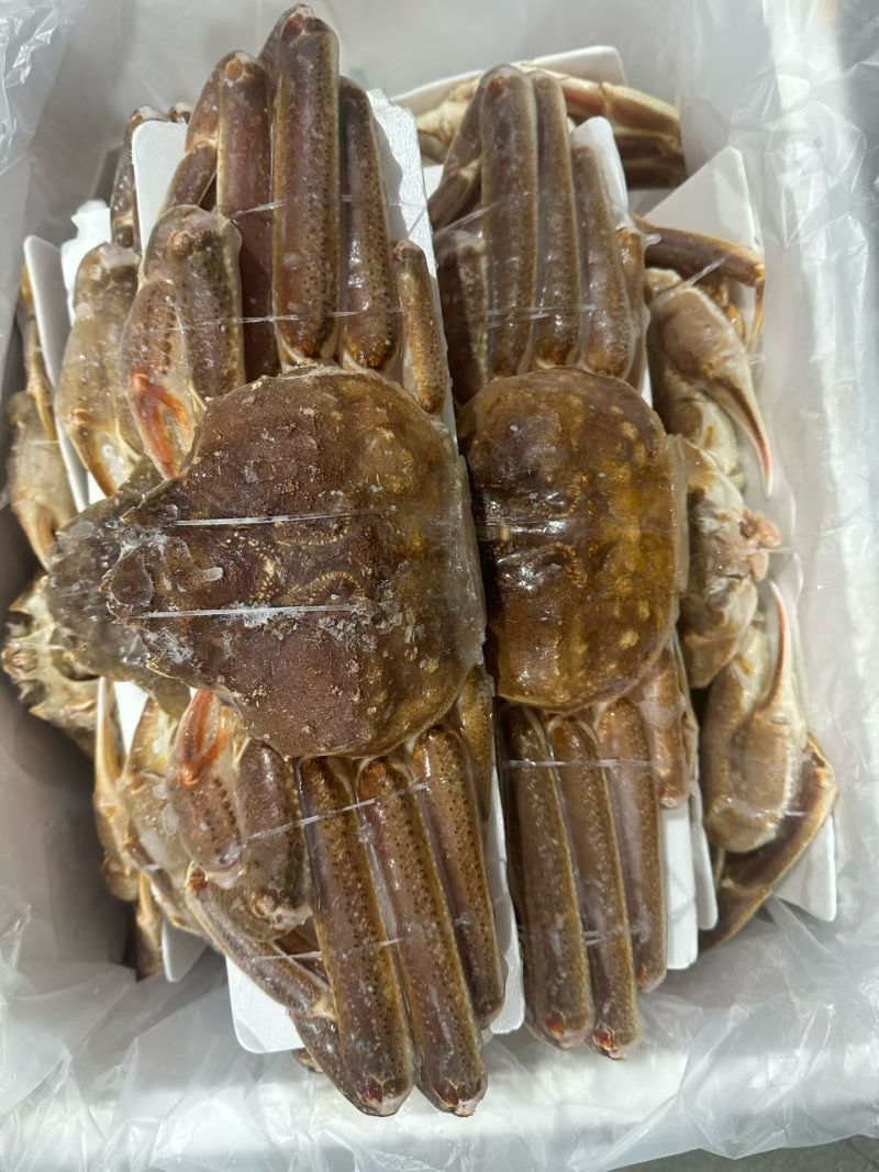 生冻松叶蟹长腿蟹大量现货供应，肉质饱满品质保证欢迎电联