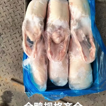 全鸭6000出头