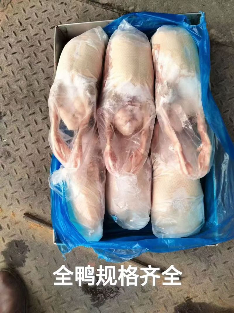 全鸭6000出头