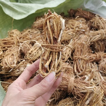 广西中药材五指毛桃捆原扎中段头粒小节规格全工厂直发