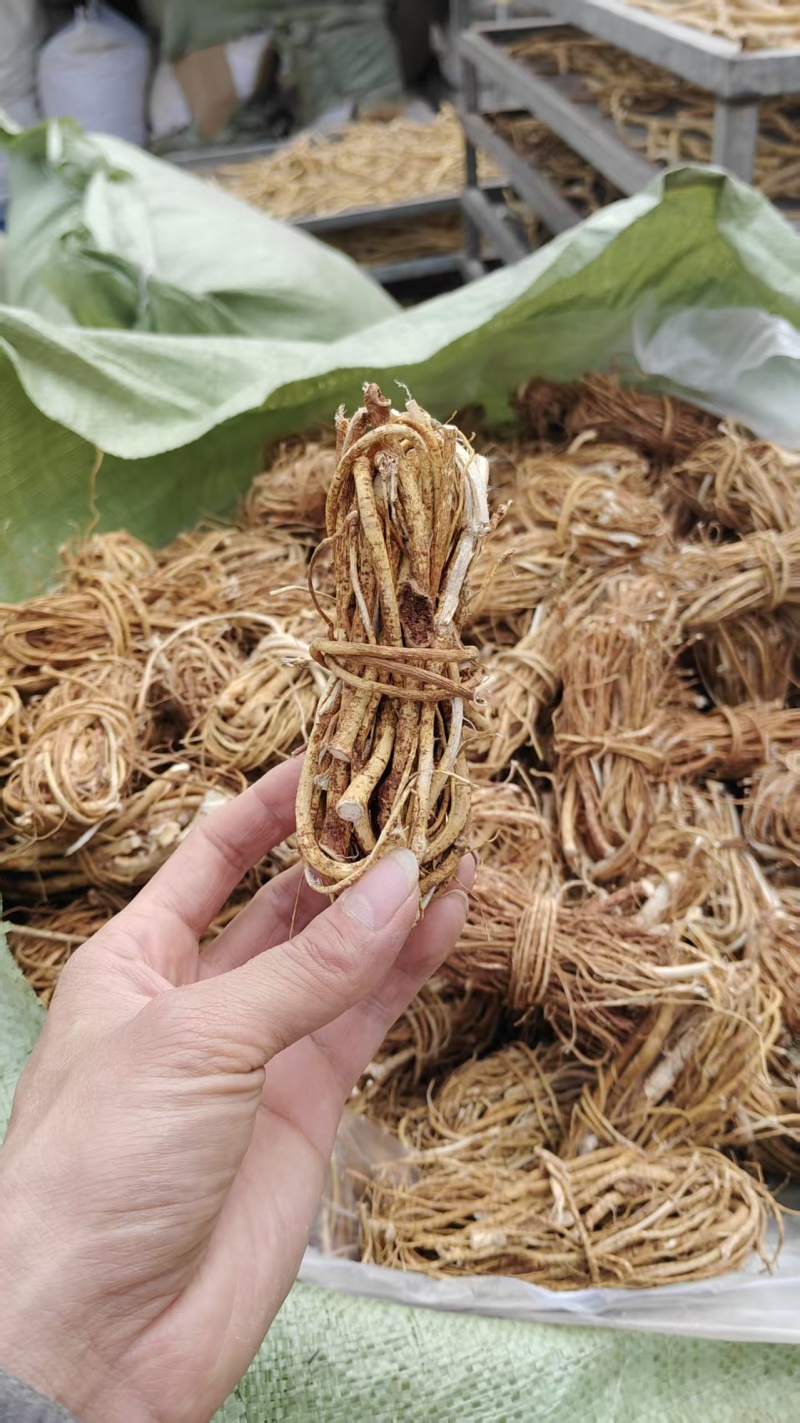 广西中药材五指毛桃捆原扎中段头粒小节规格全工厂直发