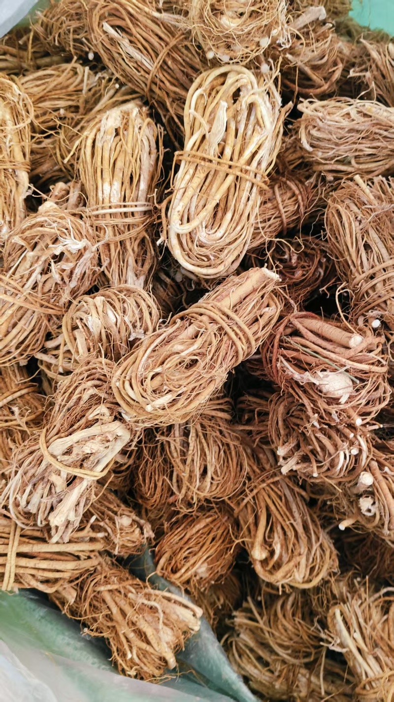 广西中药材五指毛桃捆原扎中段头粒小节规格全工厂直发
