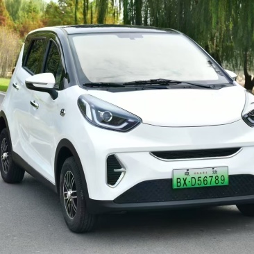 江淮小喜鹊低速四轮电动汽车