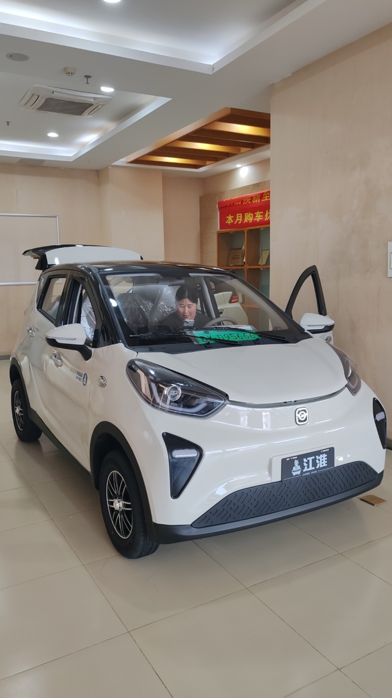 江淮小喜鹊低速四轮电动汽车