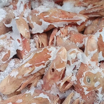 库里白条鸭头11/12个的，16000来个