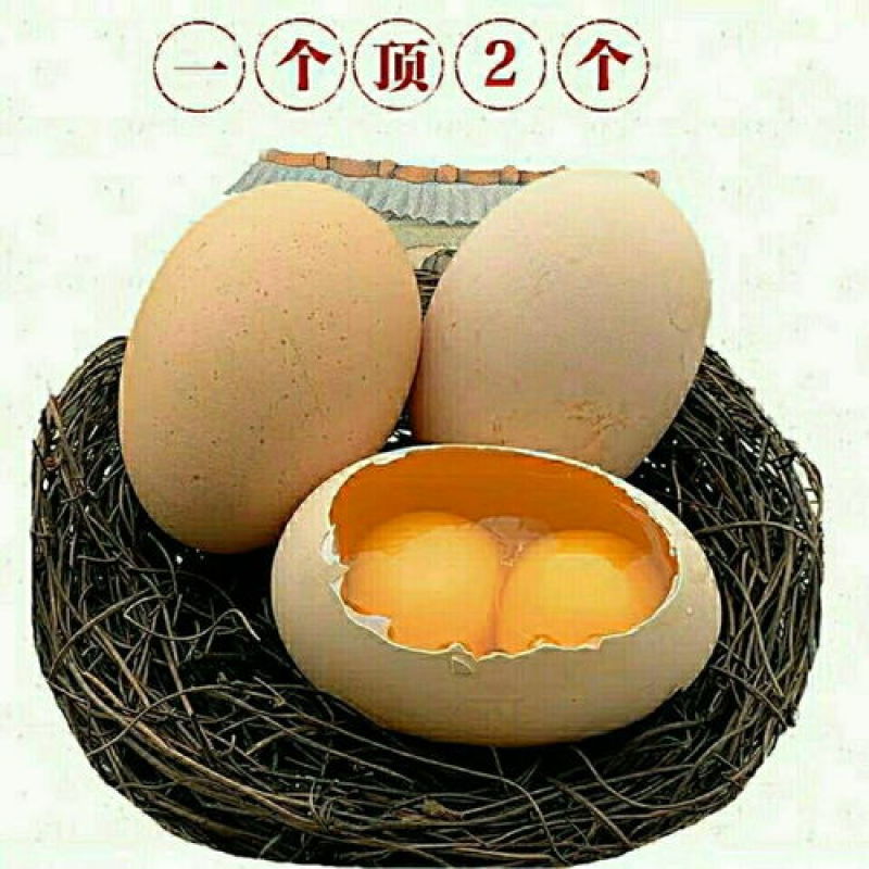 批发新鲜双黄蛋双黄土鸡蛋草鸡蛋笨鸡蛋两个蛋黄双胞胎蛋