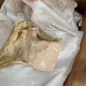 牛肚