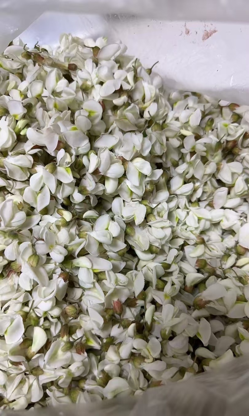 洋槐花
