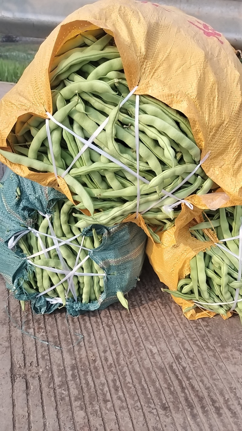 云南弥勒蔬菜马上上市