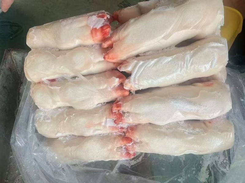 猪蹄，人工去毛纯干猪蹄，产地直发欢迎电话咨询品质保证