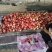 明月油蟠桃规格齐全品质好产地直发量大从优欢迎来电咨询