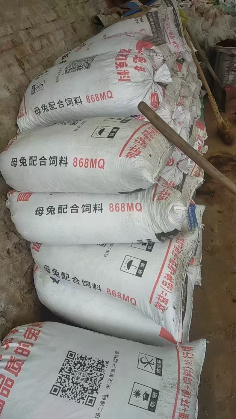 兔粪
