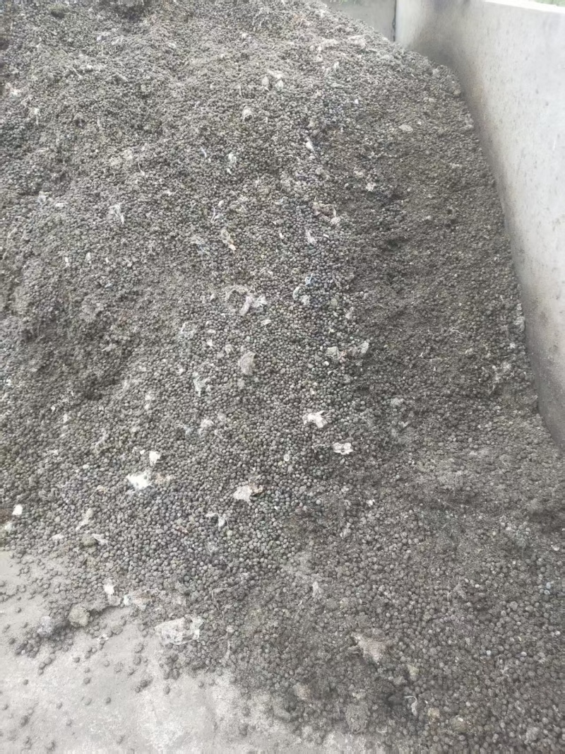 兔粪