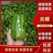 【实力商家】产地直发【诚信经营】质量上乘【全国发货】青椒