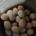 农户散养纯粮食土鸡蛋