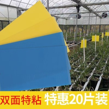 农用百货粘虫板厂家直发/量大从优/双面粘/可定制尺寸