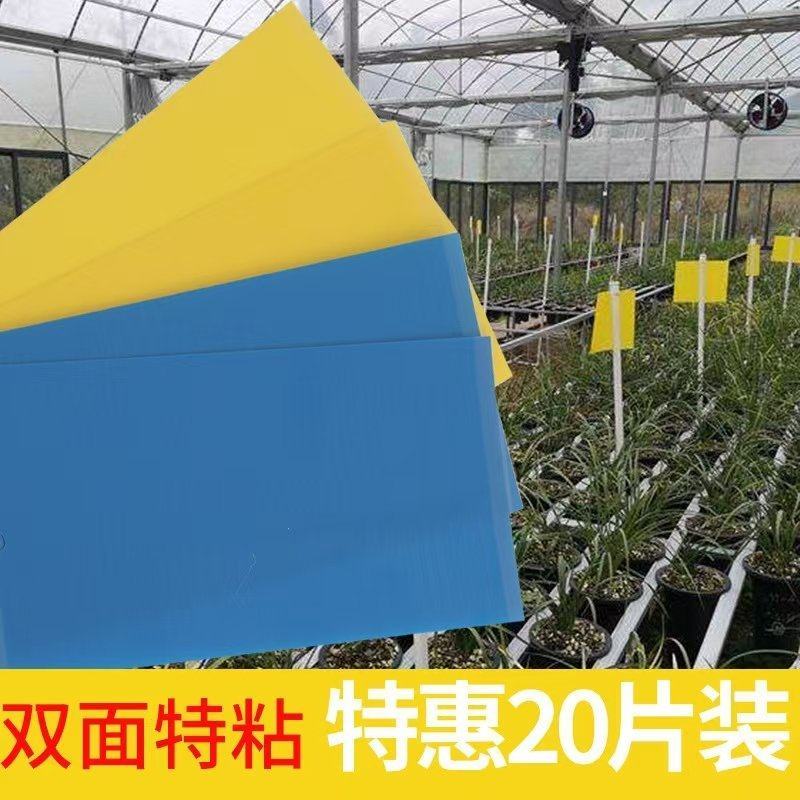 农用百货粘虫板厂家直发/量大从优/双面粘/可定制尺寸