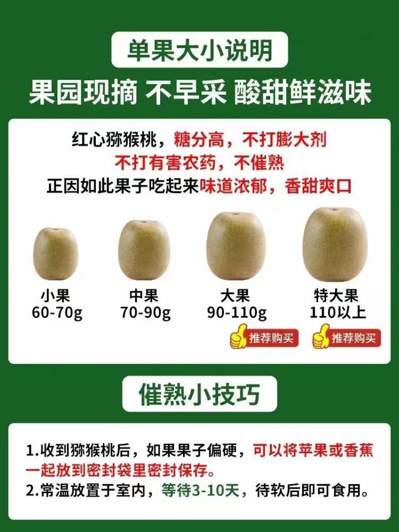 红心猕猴桃