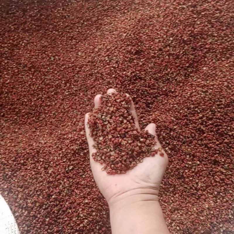 大红袍花椒