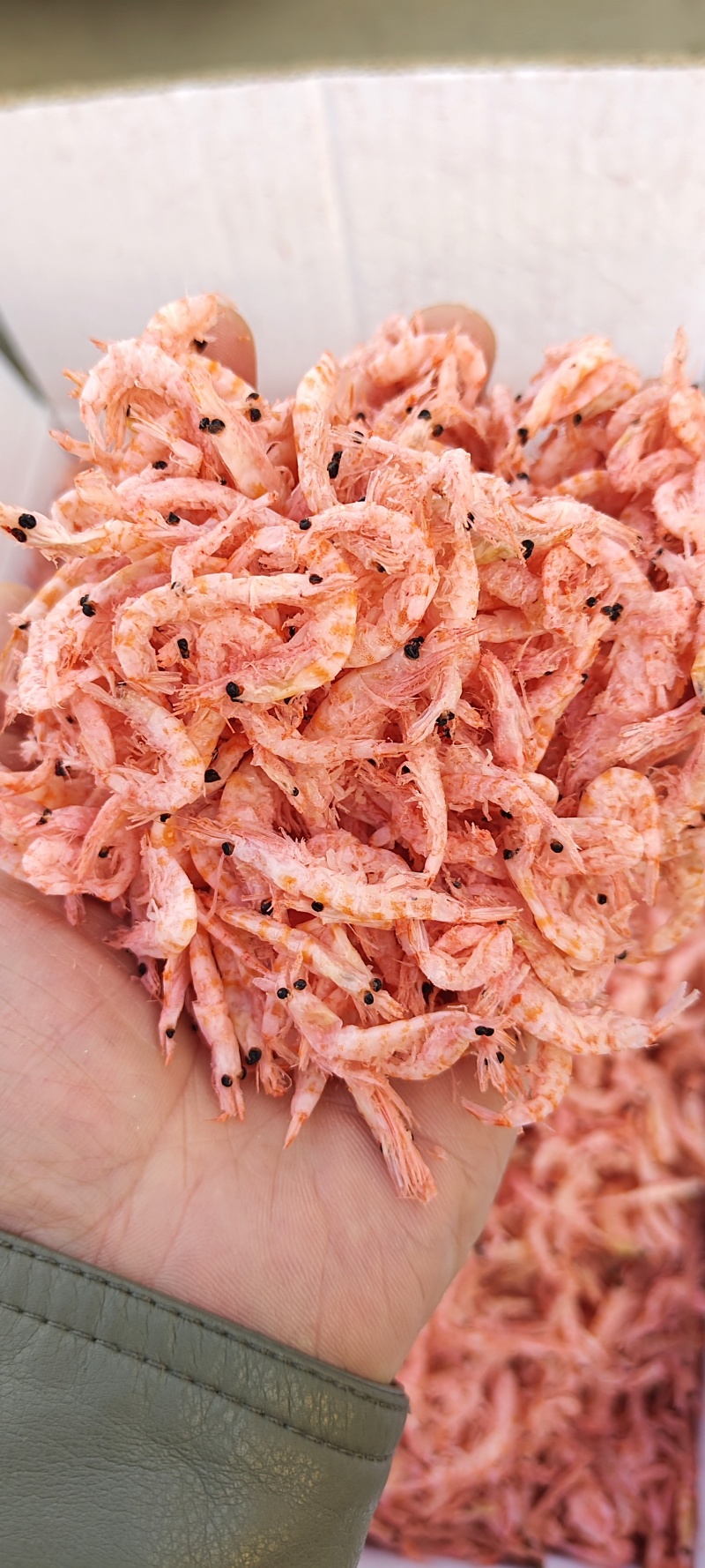 南极磷虾，深海磷虾肉质饱满老人小孩均可食用LL号L号M号