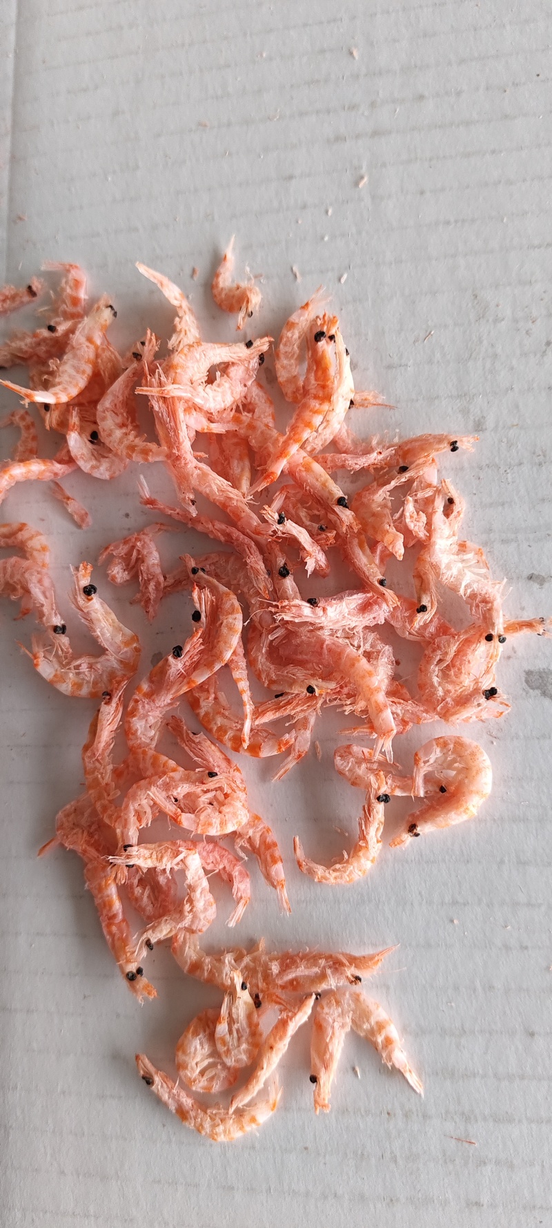 南极磷虾，深海磷虾肉质饱满老人小孩均可食用LL号L号M号