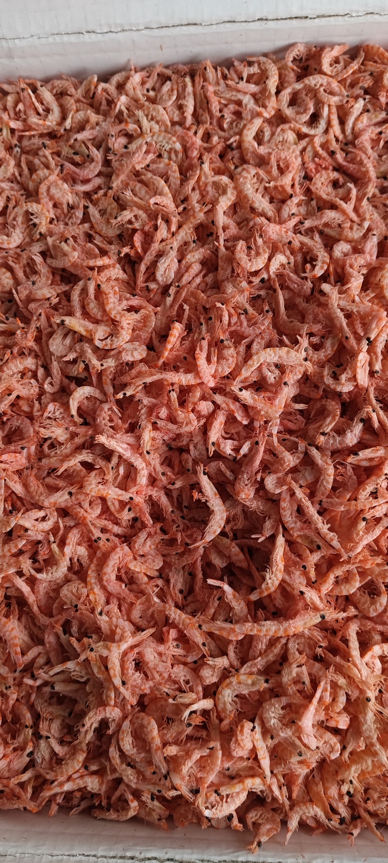 南极磷虾，深海磷虾肉质饱满老人小孩均可食用LL号L号M号