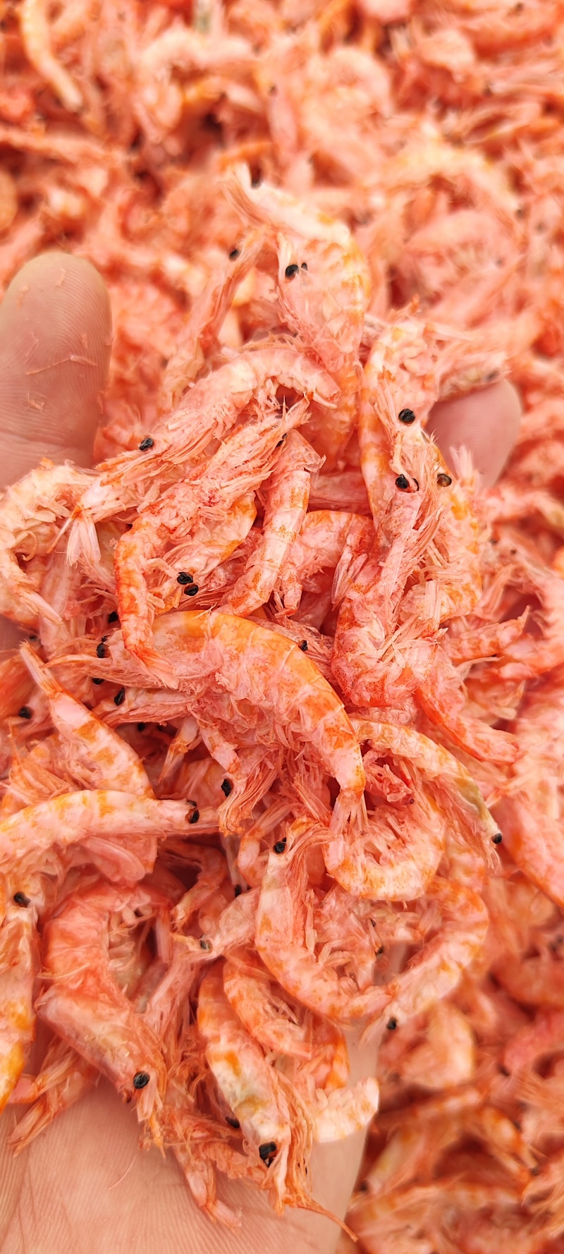 南极磷虾，深海磷虾肉质饱满老人小孩均可食用LL号L号M号