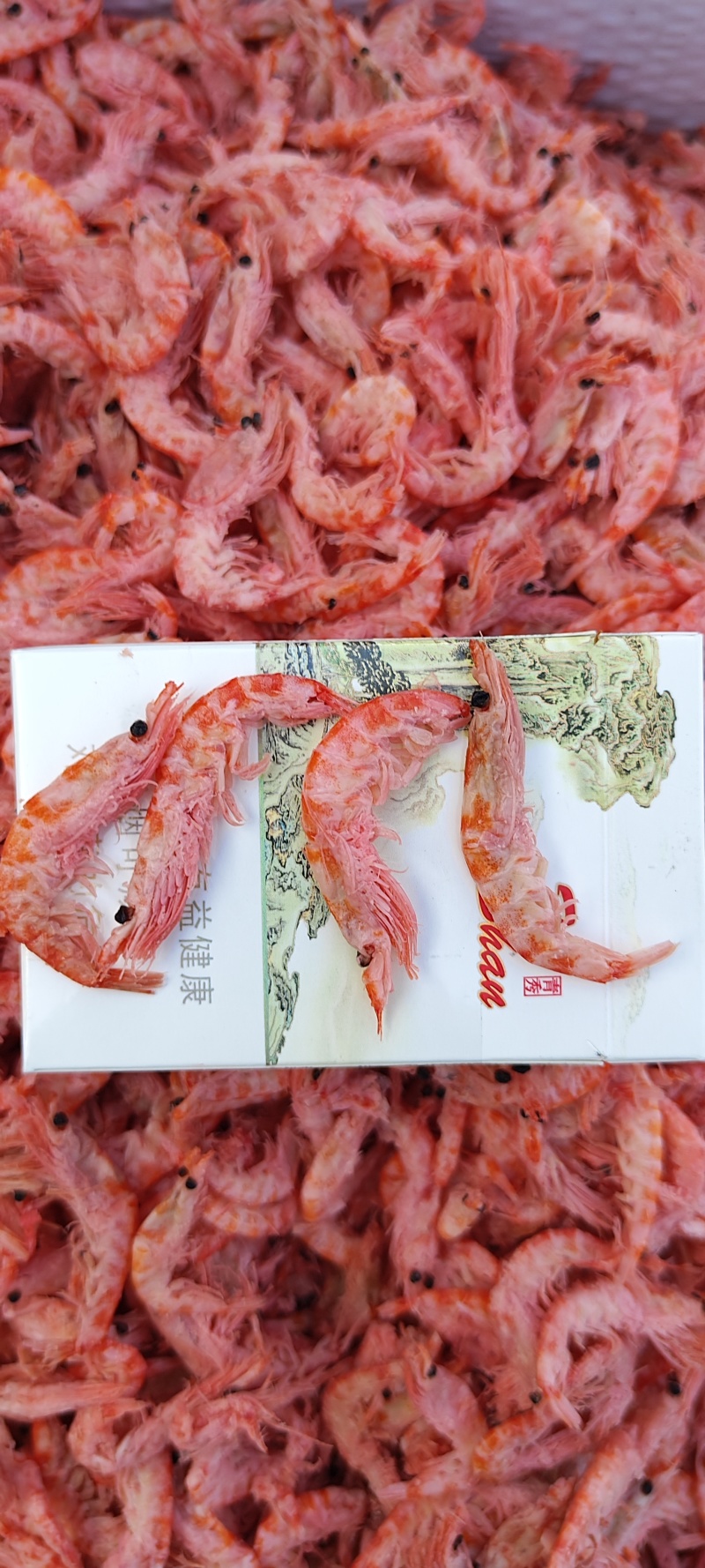 南极磷虾，深海磷虾肉质饱满老人小孩均可食用LL号L号M号