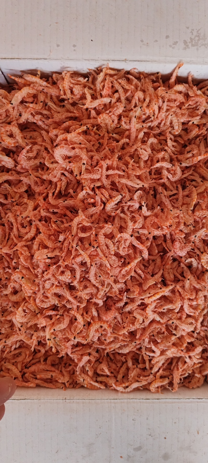 南极磷虾，深海磷虾肉质饱满老人小孩均可食用LL号L号M号
