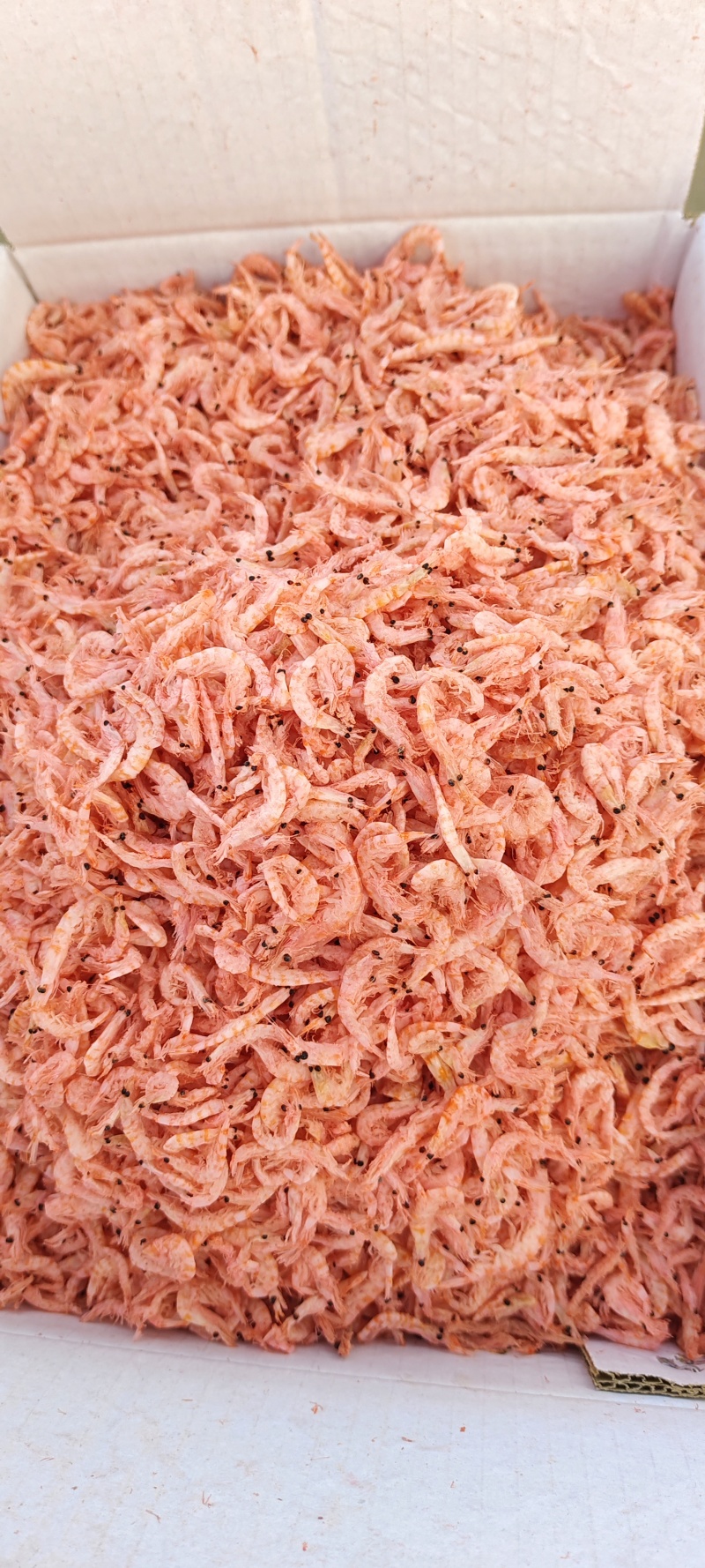 南极磷虾，深海磷虾肉质饱满老人小孩均可食用LL号L号M号