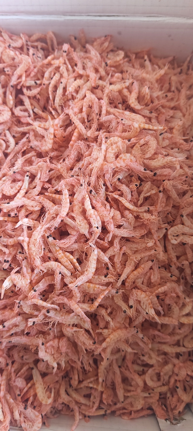 南极磷虾，深海磷虾肉质饱满老人小孩均可食用LL号L号M号