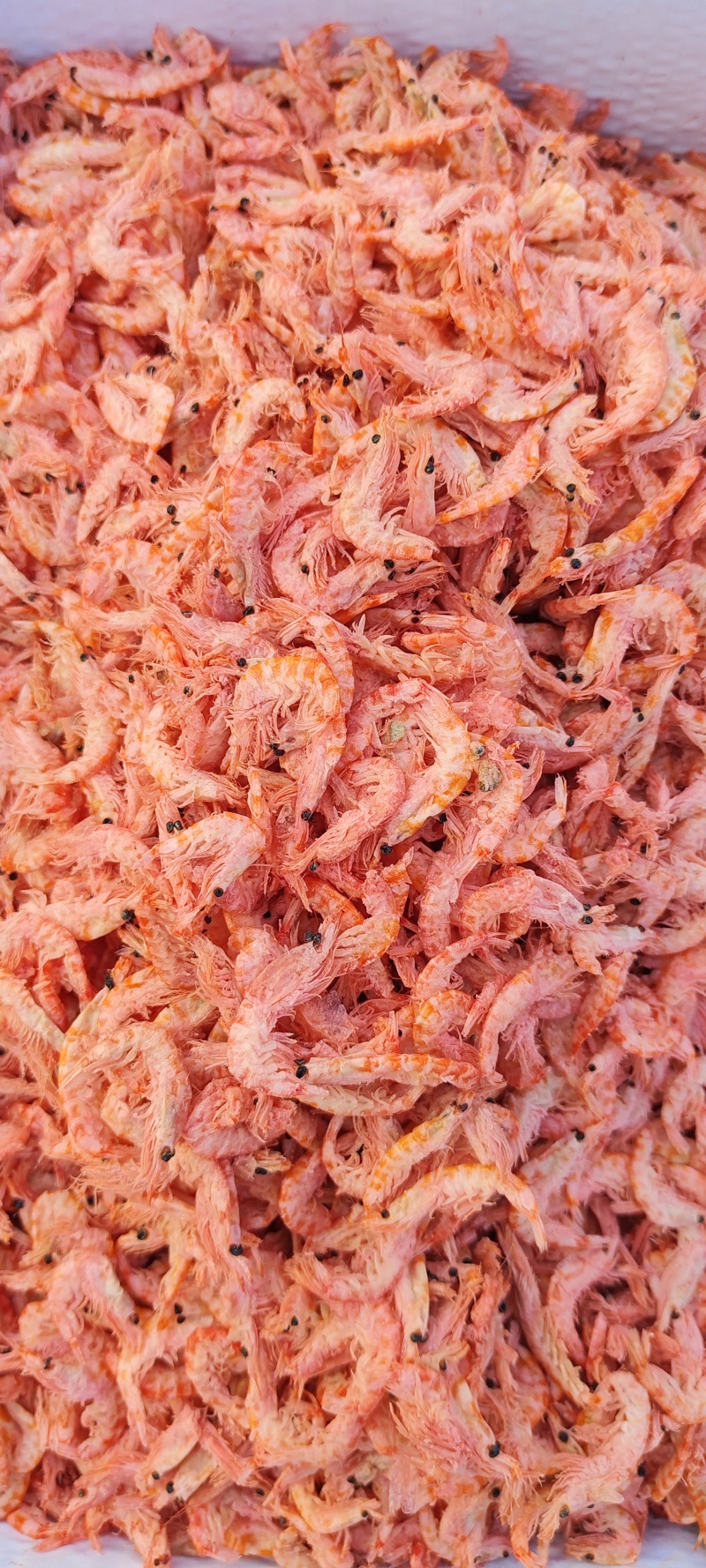 南极磷虾，深海磷虾肉质饱满老人小孩均可食用LL号L号M号