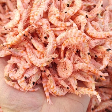 南极磷虾，深海磷虾肉质饱满老人小孩均可食用LL号L号M号