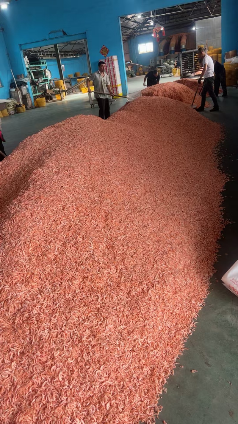 南极磷虾米，去头去尾脱壳，纯淡干无盐，各种规格价格均有货