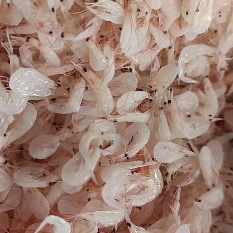 咸干虾皮主供电商团购调料厂及名贵宠物配料根据客户需求可定