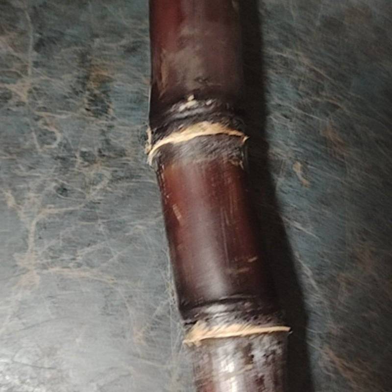 黑皮甘蔗