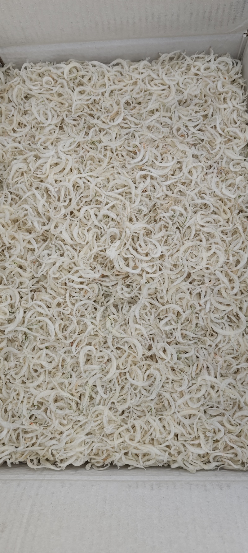 小银鱼纯淡干无盐，有生晒，有烘干，无杂质实体商超礼盒**
