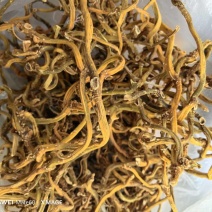 电商对接，野生玉竹条