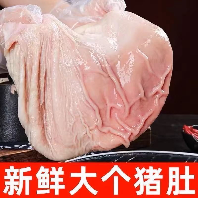 鲜猪肚猪大肚12.5一斤全国发货，不打水，不泡发