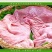 鲜猪肚猪大肚12.5一斤全国发货，不打水，不泡发
