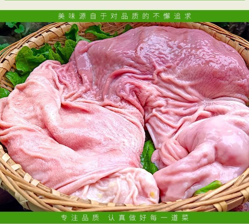 鲜猪肚猪大肚12.5一斤全国发货，不打水，不泡发